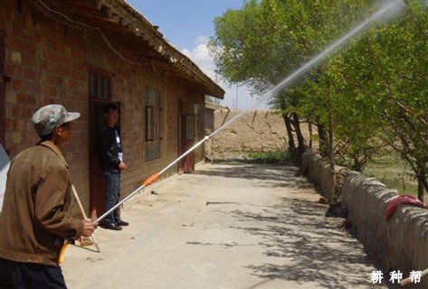 柿子树怎么施用叶面肥 柿子树怎么施用叶面肥