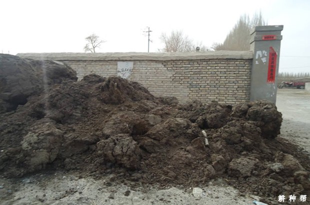 柿子结果树什么时候施肥好? 柿子结果树什么时候施肥好?