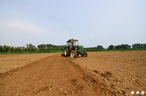 种植果蔗前土地如何平整? 种植果蔗前土地如何平整?