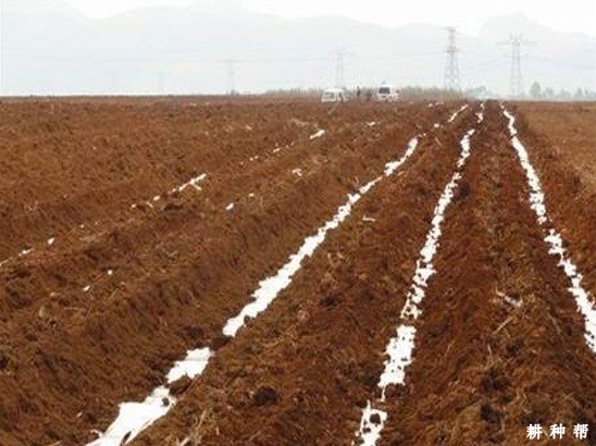 种植果蔗前土地如何平整? 种植果蔗前土地如何平整?