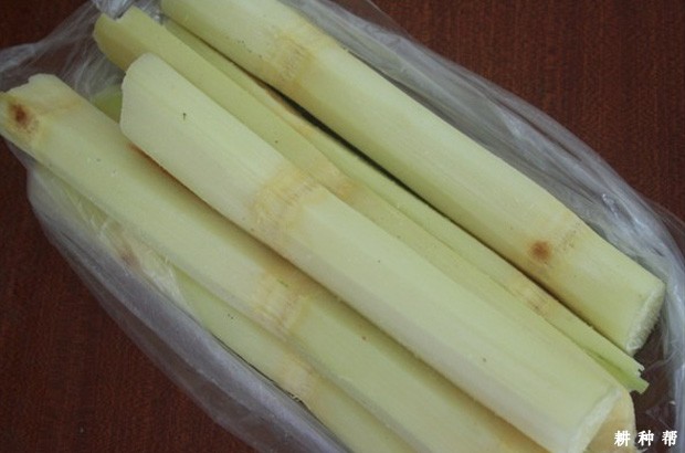 甘蔗含有哪些营养成分? 甘蔗含有哪些营养成分?