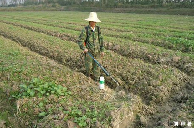 种植西瓜可以用什么除草剂？
