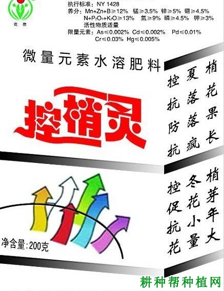 龙眼树冲梢后怎么办？