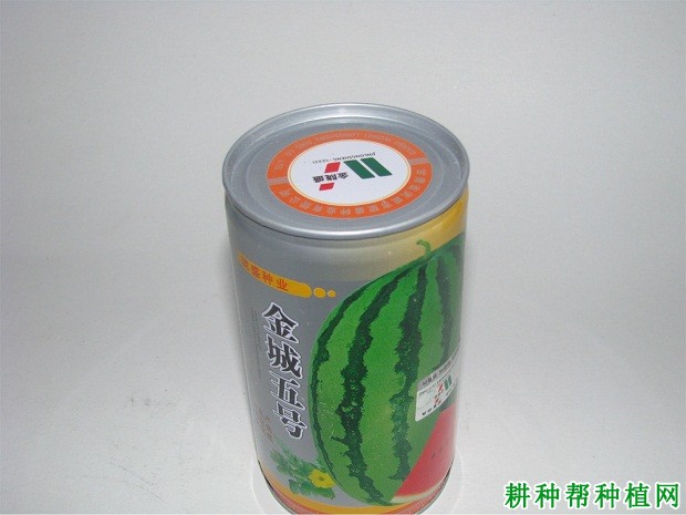 金城5号西瓜品种好不好? 金城5号西瓜品种好不好?