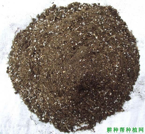 如何正确给甜瓜施肥? 如何正确给甜瓜施肥?
