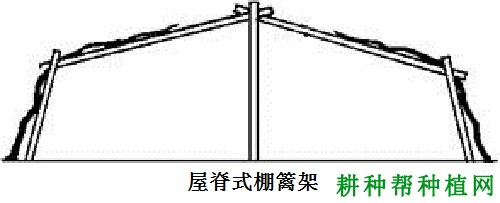 种植葡萄如何选择棚架? 种植葡萄如何选择棚架?