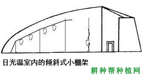 种植葡萄如何选择棚架? 种植葡萄如何选择棚架?
