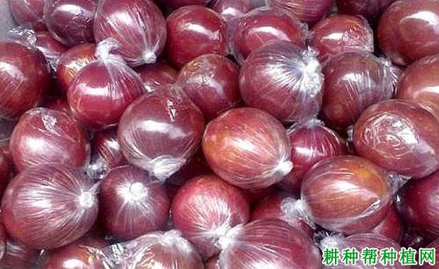 百香果保鲜方法有几种? 百香果保鲜方法有几种?