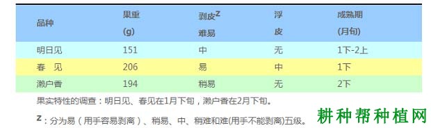 明日见柑橘品种好不好? 明日见柑橘品种好不好?