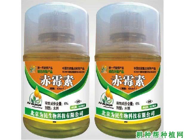 种植荔枝如何使用植物生长调节剂? 种植荔枝如何使用植物生长调节剂?