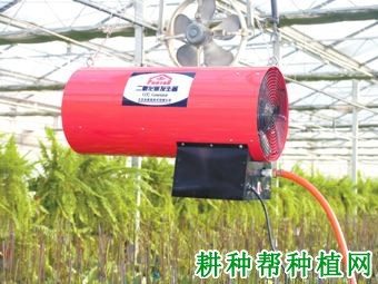 种植葡萄为什么要施二氧化碳肥? 种植葡萄为什么要施二氧化碳肥?