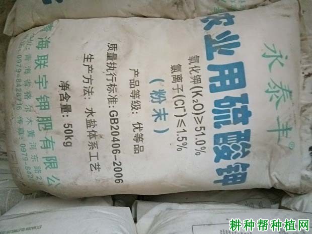葡萄每次施肥量是多少,用什么肥料好? 葡萄每次施肥量是多少,用什么肥料好?