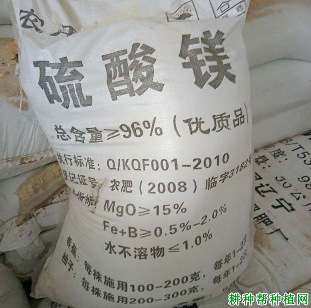 葡萄缺镁症如何防治? 葡萄缺镁症如何防治?