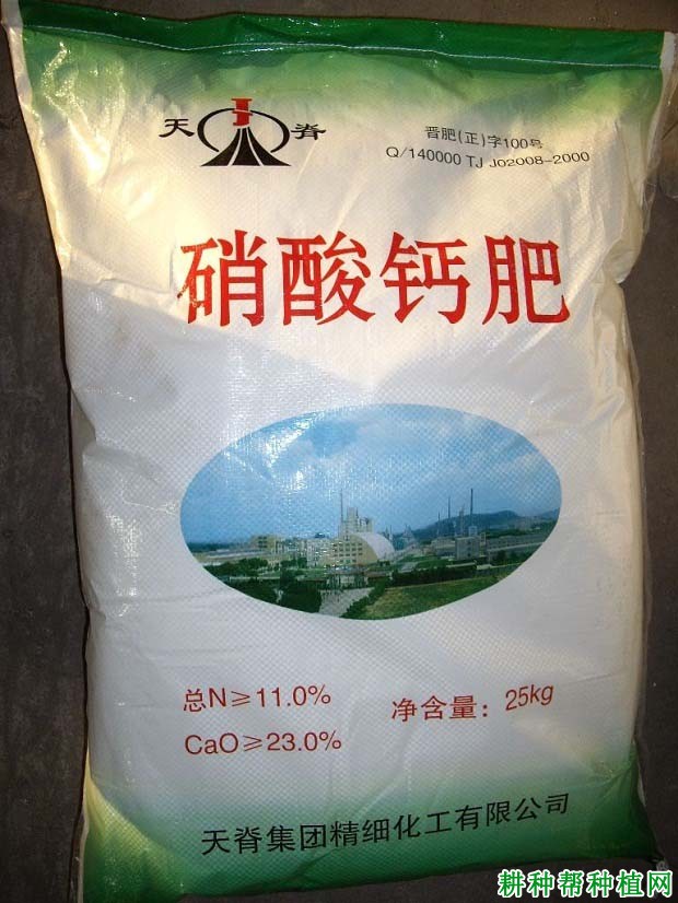 钙肥对葡萄生长有哪些影响? 钙肥对葡萄生长有哪些影响?