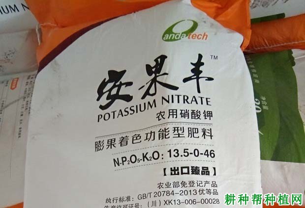葡萄缺钾症如何防治? 葡萄缺钾症如何防治?