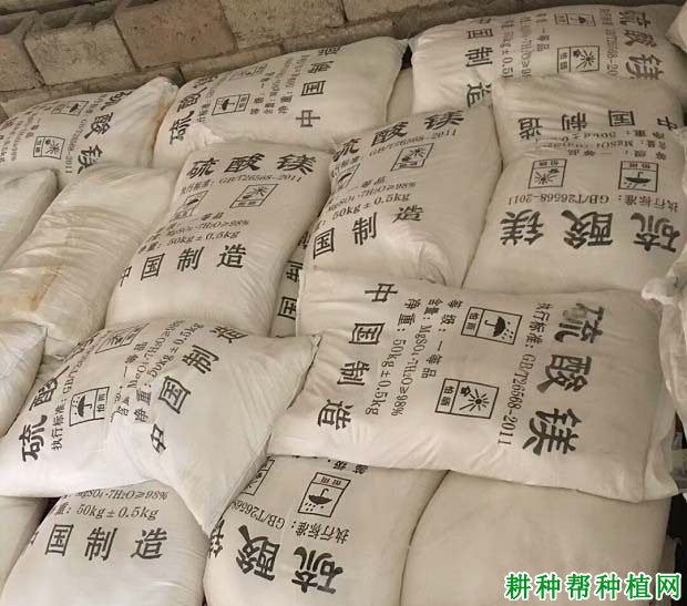 葡萄叶面追肥可以用哪些肥料? 葡萄叶面追肥可以用哪些肥料?