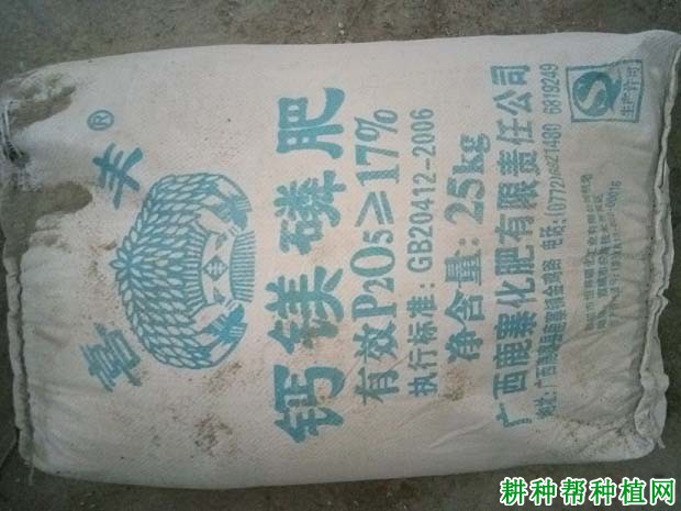 磷肥对葡萄生长有哪些影响? 磷肥对葡萄生长有哪些影响?