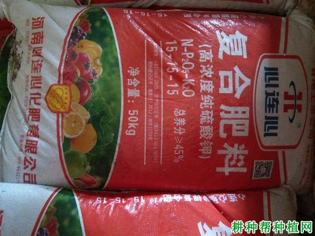 核桃树什么时候施肥**? 核桃树什么时候施肥**?