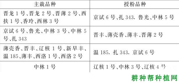 核桃什么时间种植,行距株距是多少? 核桃什么时间种植,行距株距是多少?