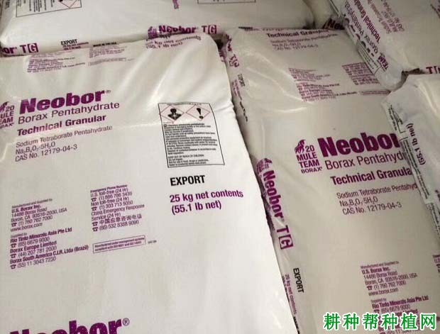 种植葡萄如何施微量元素肥? 种植葡萄如何施微量元素肥?