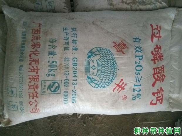 种植葡萄如何施磷肥和钾肥? 种植葡萄如何施磷肥和钾肥?