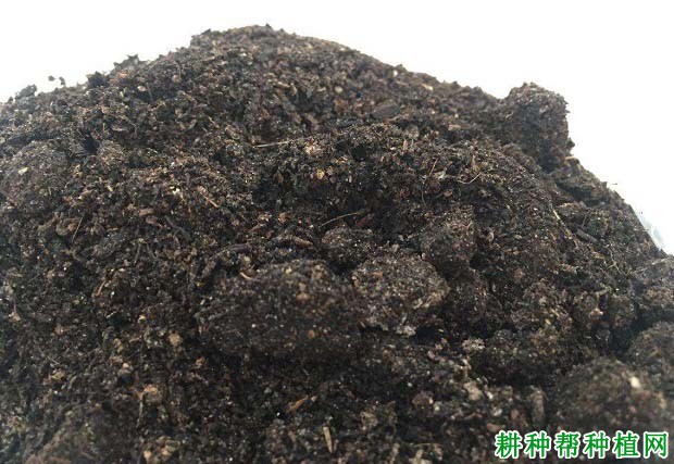 苹果为什么要施有机肥,有哪些好处? 苹果为什么要施有机肥,有哪些好处?