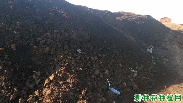 苹果为什么要施有机肥,有哪些好处? 苹果为什么要施有机肥,有哪些好处?