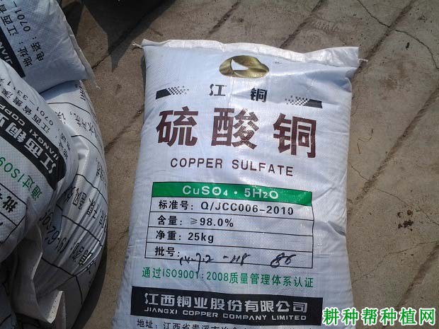 草莓缺铜有什么症状,原因是什么? 草莓缺铜有什么症状,原因是什么?