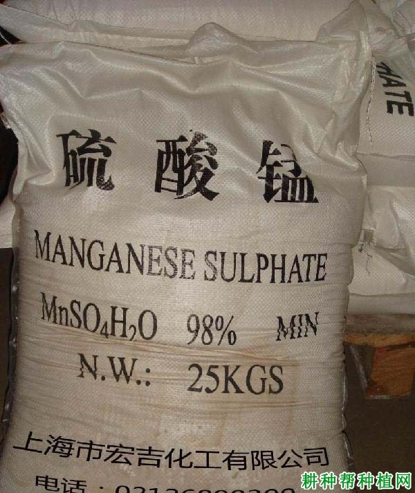草莓缺锰有什么症状,原因是什么? 草莓缺锰有什么症状,原因是什么?