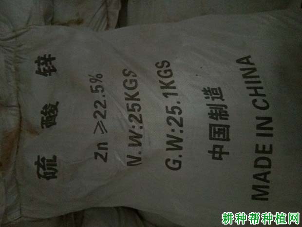 草莓缺锌有什么症状,原因是什么? 草莓缺锌有什么症状,原因是什么?