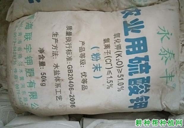 草莓缺硫有什么症状,原因是什么? 草莓缺硫有什么症状,原因是什么?
