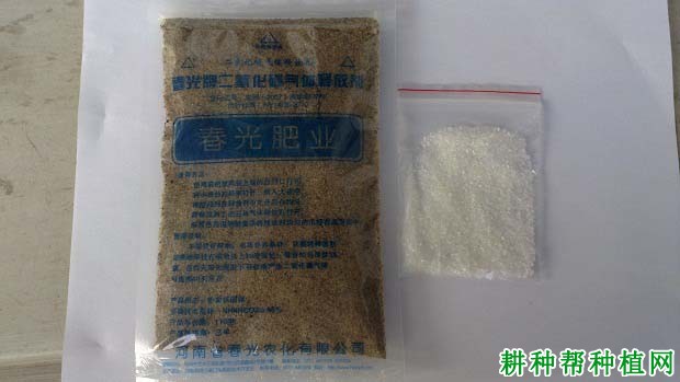 草莓大棚施用二氧化碳气肥需要注意什么? 草莓大棚施用二氧化碳气肥需要注意什么?