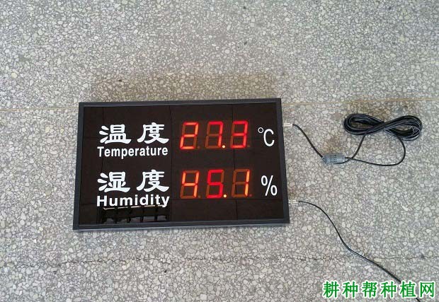 草莓大棚里适宜的湿度是多少? 草莓大棚里适宜的湿度是多少?