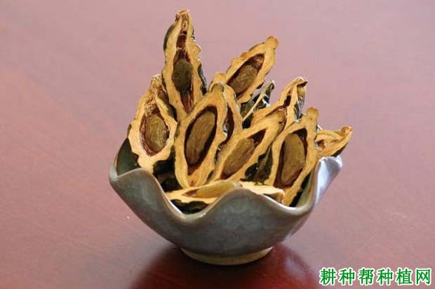 经常吃槟榔有什么坏处? 经常吃槟榔有什么坏处?