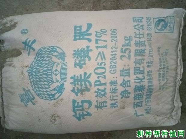 种植甘蔗如何施基肥? 种植甘蔗如何施基肥?
