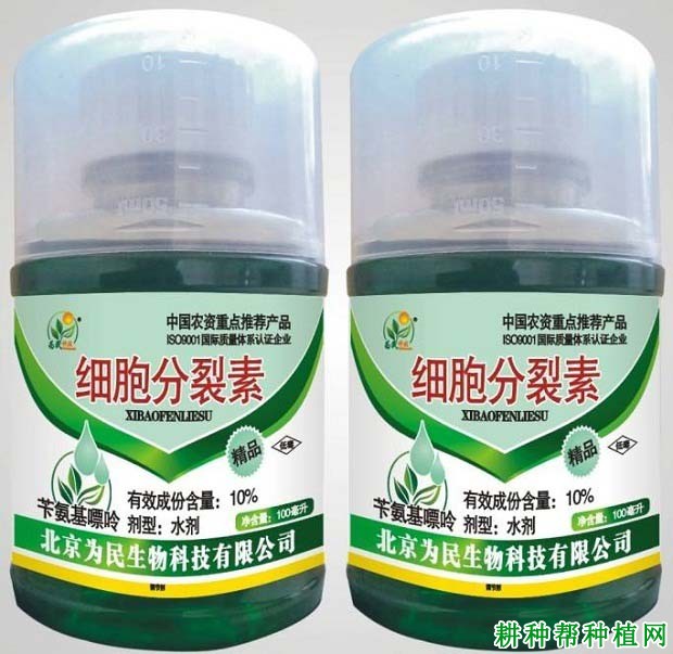 种植龙眼什么时候可以使用植物生长调节剂? 种植龙眼什么时候可以使用植物生长调节剂?