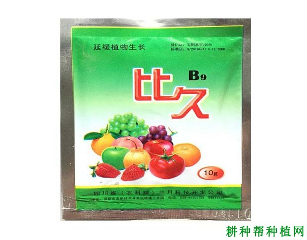 种植龙眼什么时候可以使用植物生长调节剂? 种植龙眼什么时候可以使用植物生长调节剂?