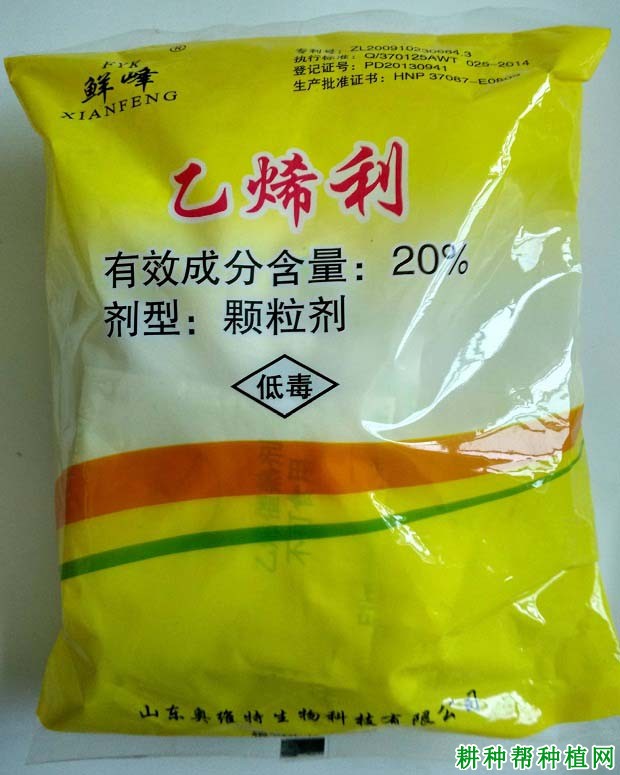 种植龙眼什么时候可以使用植物生长调节剂? 种植龙眼什么时候可以使用植物生长调节剂?