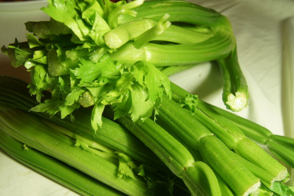 芹菜有哪些种类？