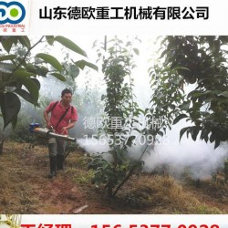 新款脉冲动力弥雾机 农用打药机 背负式喷雾器烟雾机水雾机价格