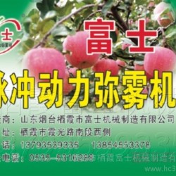 供应栖霞富士栖霞富士果树专用烟雾机弥雾机打药