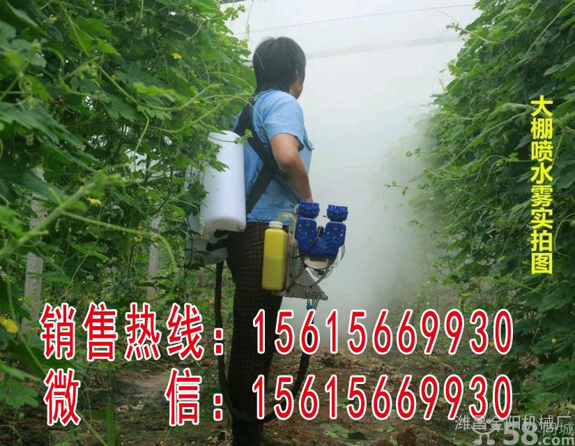 潍昌金阳80K 脉冲式烟雾水雾两用机弥雾机打药机喷雾器 厂家直销 诚招代理 一件代发