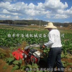 田园管理开沟机 大棚中耕起垄机 莴苣甘蓝种植开沟机