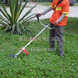 莴苣种植基地小型除草机 背负式汽油软管割草机 一机多用割草机批发