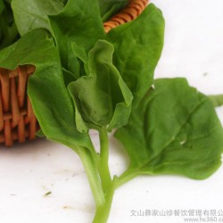 云南特产 新鲜绿色蔬菜批发 新鲜番杏 洋菠菜 特色山野菜酒店批发