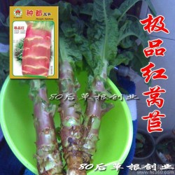 红莴笋种子 种都高产红莴笋种子 莴苣种子 10g原装