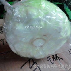 高度仿真手感PU蔬菜模型 泡沫蔬菜 仿真白菜 生菜 菜花拍摄