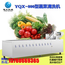 食堂用全自动白菜蔬菜清洗机 商用多用瓜果蔬菜自动冲洗机报价