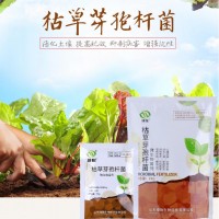 绿色有机种植益生菌肥料农用微生物菌剂 固氮抗逆枯草芽孢杆菌