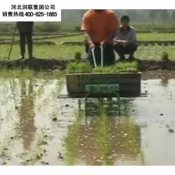 上海水稻插秧播种机和全自动插秧机多少钱一台